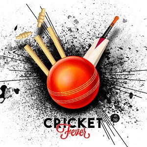 Amazing Facts About Cricket